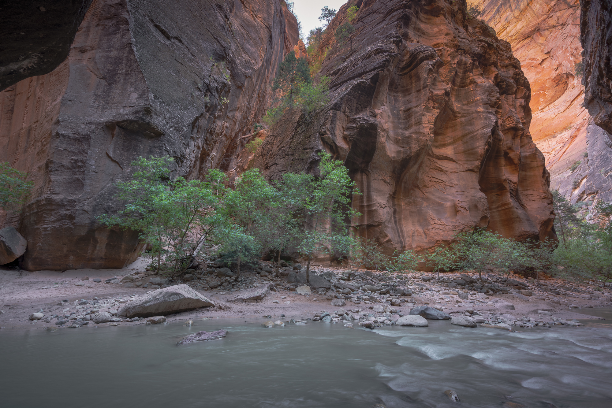 Too Early for Autumn